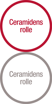 Ceramide